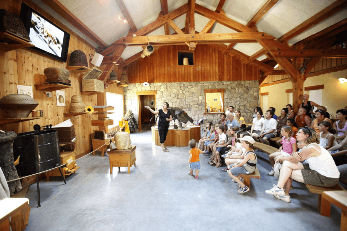 eleve_sejour_scolaire_visite_apiland_le_pigneroux_savines_le_lac