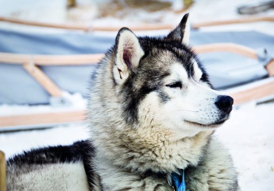 Les 4 Saisons – Vacances Passion