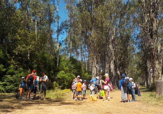 C.I.S. Iles de Lérins – Cannes Jeunesse