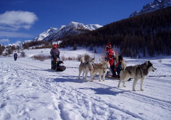 Le Relais de Nature – Archipel Accueil International