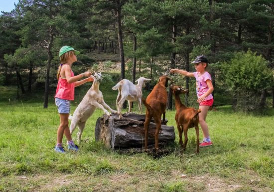 Le Logis du Pin Odel Evasion