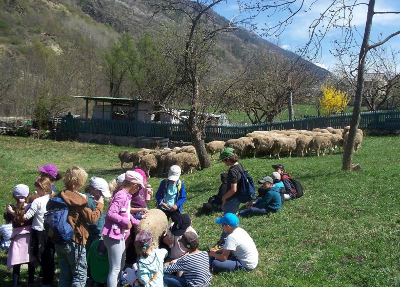 Village de Vacances Ternelia Le Rabuons